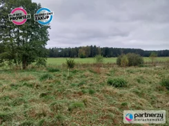 PAN246617 - zdjęcie nr 3