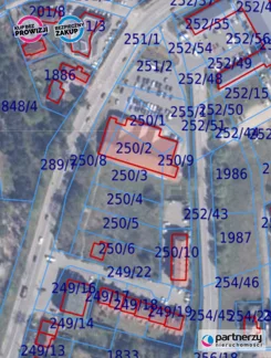 PAN296260 - zdjęcie nr 1