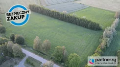 PAN128383 - zdjęcie nr 3