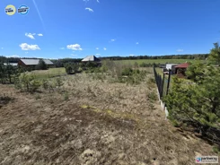 PAN266078 - zdjęcie nr 2