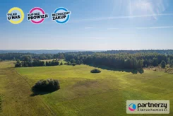 PAN166113988 - zdjęcie nr 3