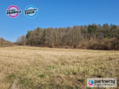 PAN822819 - zdjęcie nr 3