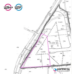 PAN702697 - zdjęcie nr 2