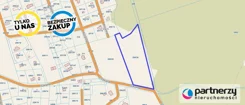 PAN697144 - zdjęcie nr 0