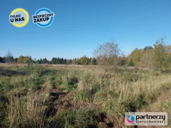 PAN697144 - zdjęcie nr 4