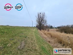 PAN827328273 - zdjęcie nr 2