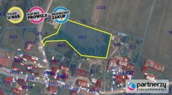 PAN286312 - zdjęcie nr 1