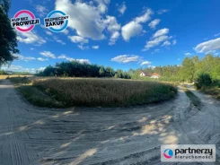 PAN439549 - zdjęcie nr 4