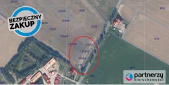 PAN251355 - zdjęcie nr 0