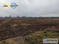 PAN114521 - zdjęcie nr 1