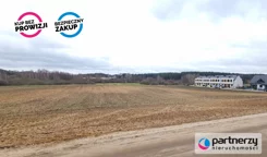 PAN333380 - zdjęcie nr 3