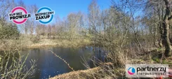PAN520998 - zdjęcie nr 4