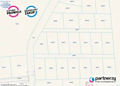 PAN436175 - zdjęcie nr 3