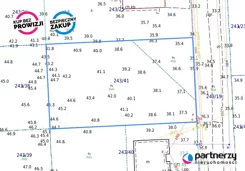 PAN973064 - zdjęcie nr 2