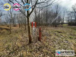 PAN206736131 - zdjęcie nr 0