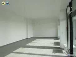 PAN979469 - zdjęcie nr 4