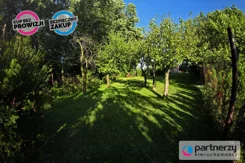 PAN643173 - zdjęcie nr 3