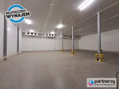 PAN861415 - zdjęcie nr 1