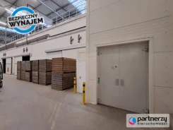 PAN861415 - zdjęcie nr 3