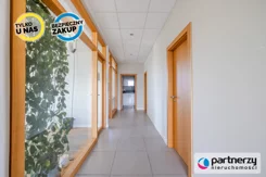 PAN211623 - zdjęcie nr 3