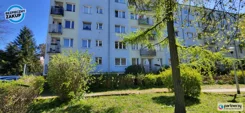 PAN262786 - zdjęcie nr 0
