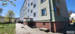 PAN262786 - zdjęcie nr 1