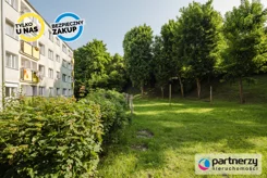 PAN455782 - zdjęcie nr 3