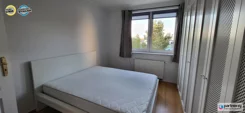 PAN654207 - zdjęcie nr 4
