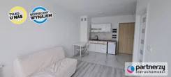 PAN682475 - zdjęcie nr 2