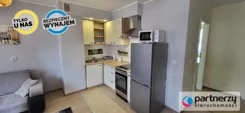 PAN859686 - zdjęcie nr 3