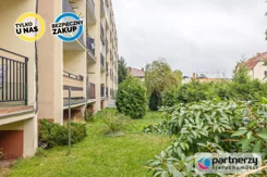 PAN170034 - zdjęcie nr 4