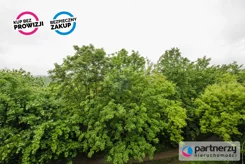 PAN687004 - zdjęcie nr 3