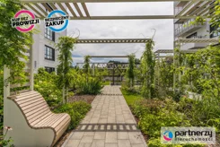 PAN707287 - zdjęcie nr 4