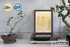 PAN241888 - zdjęcie nr 1