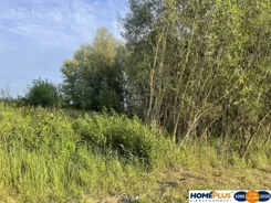 23218/78/OGS - zdjęcie nr 3