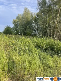 23225/78/OGS - zdjęcie nr 4