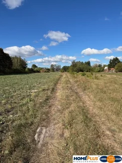 23446/78/OGS - zdjęcie nr 3