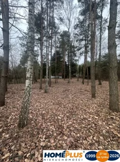 23381/78/OGS - zdjęcie nr 2