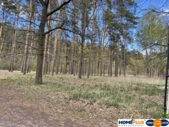 23485/78/OGS - zdjęcie nr 2