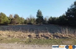 23392/78/OGS - zdjęcie nr 2