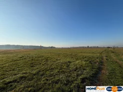 23432/78/OGS - zdjęcie nr 4