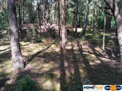 23465/78/OGS - zdjęcie nr 3