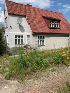 9374/3186/ODS - zdjęcie nr 0