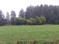 44580/3186/OGS - zdjęcie nr 2