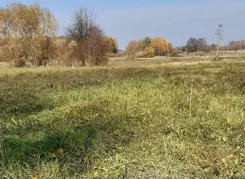 10538/3186/OOS - zdjęcie nr 4