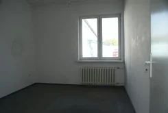 2911 - zdjęcie nr 2