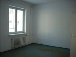 2911 - zdjęcie nr 3