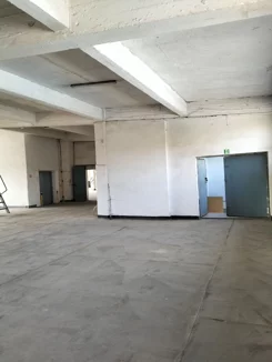 2942 - zdjęcie nr 2