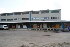 2946 - zdjęcie nr 4
