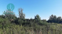 EC458340000 - zdjęcie nr 2